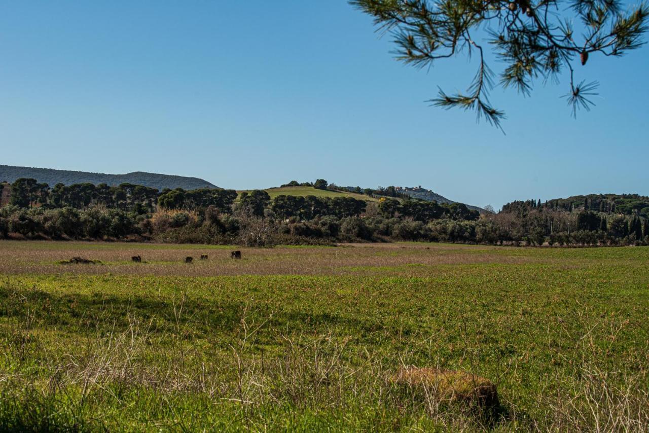 Poggio All'Agnello Sport & Active Holidays Populonia Exteriör bild