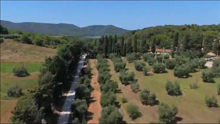 Poggio All'Agnello Sport & Active Holidays Populonia Exteriör bild